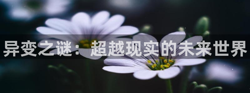 息壤中文网签约条件