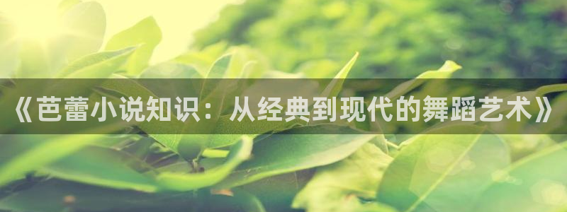 息壤中文网官网免费